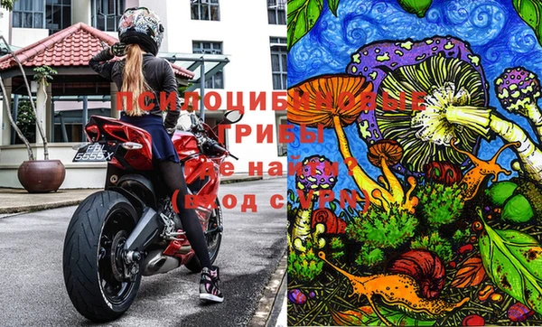 МДПВ Беломорск